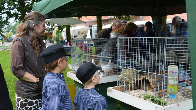 Ganzenmarkt (zondag  3 juli 2016)